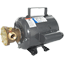 Jabsco 11810 AC Utility Impeller Pump