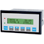 KEP RTP Dual Ratemeter / Totalizer 