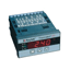 Raytek Thermalert GP Monitor