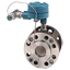 Rosemount Analytical Model 242 Flow Toroidal Conductivity Sensor