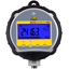 Martel BetaGauge PI Pro Pressure Gauge