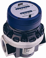 GPI GM Series Positive Displacement Flow Meter