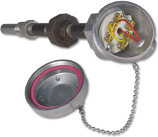 Watlow AT Style Mineral Insulated Thermocouple with Thermowell