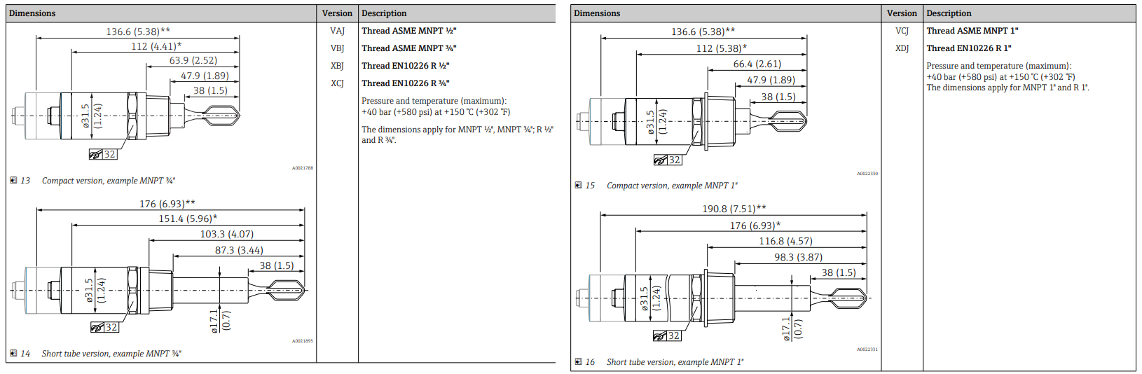 Select Options for the E+H Liquiphant FTL31 Level Switch Instrumart