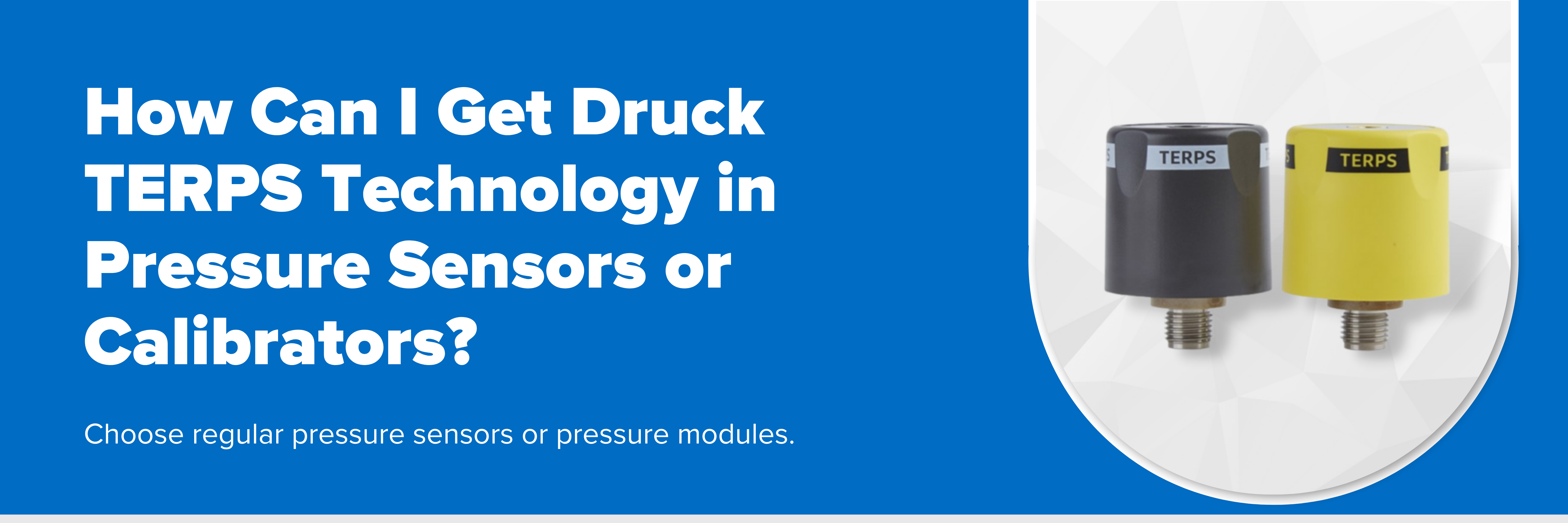 Header image with text "How Can I Get Druck TERPS Technology in Pressure Sensors or Calibrators?