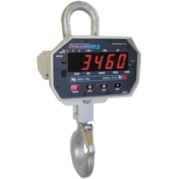 Rice Lake Weighing Systems Industrial Scales