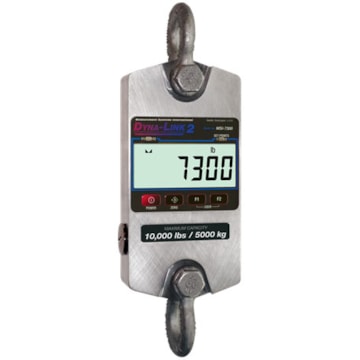Rice Lake MSI-7300 Dyna-Link 2 Crane Scale