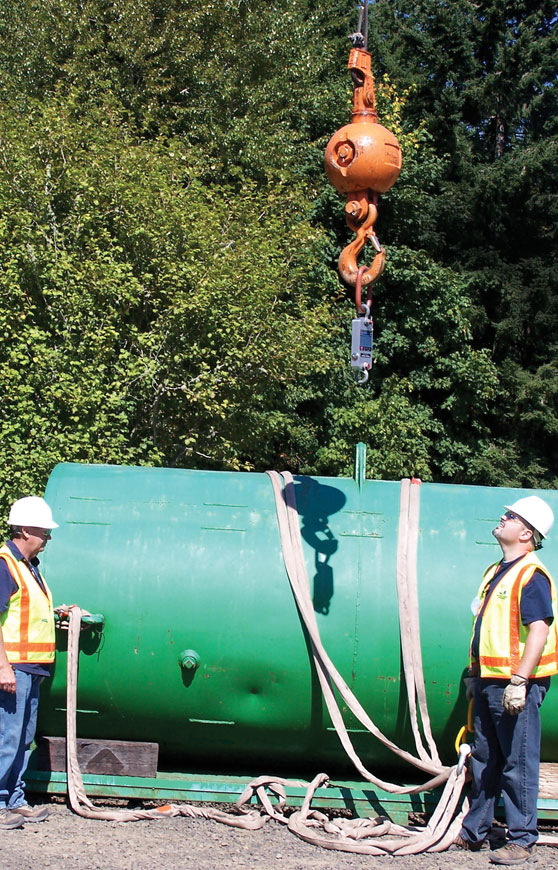 Rice Lake MSI-7300 Dyna-Link 2 Crane Scale