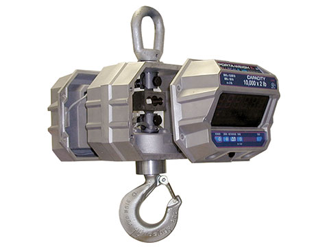 Rice Lake MSI-9300 Port-A-Weigh Plus Crane Scale