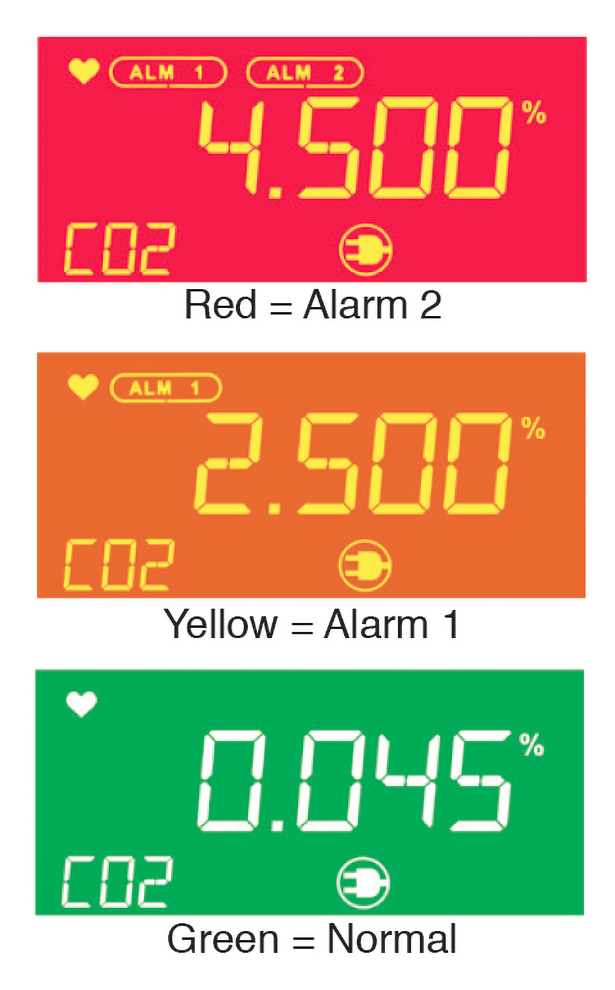 RKI Instruments RI-600 Carbon Dioxide Monitor