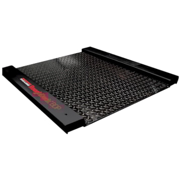 Rice Lake RoughDeck BDP Floor Scale