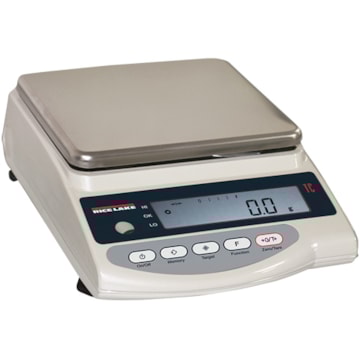 Rice Lake TC Series Tuning Fork Balance