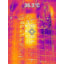 FLIR TG165-X MSX Thermal Camera Screen Image