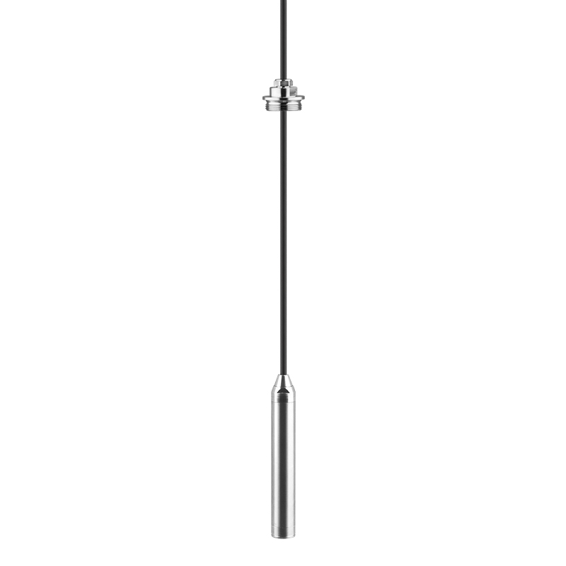 VEGA VEGAWELL 52 Submersible Pressure Transmitter